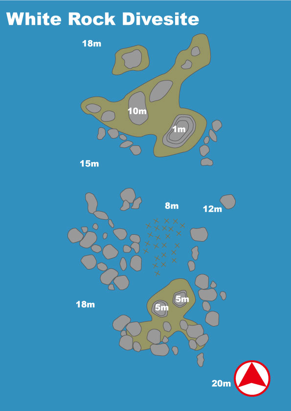 イメージ／タオ島ダイビングポイントマップ／ホワイトロック（パソコン用の画像）